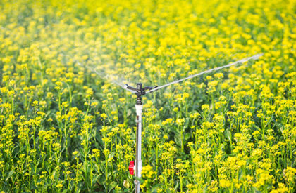 Automatic Irrigation Systems-uae Automatic Irrigation Systems-uae