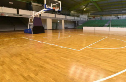 Sports Fields and Halls