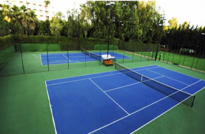 Sports Fields and Halls Dubai